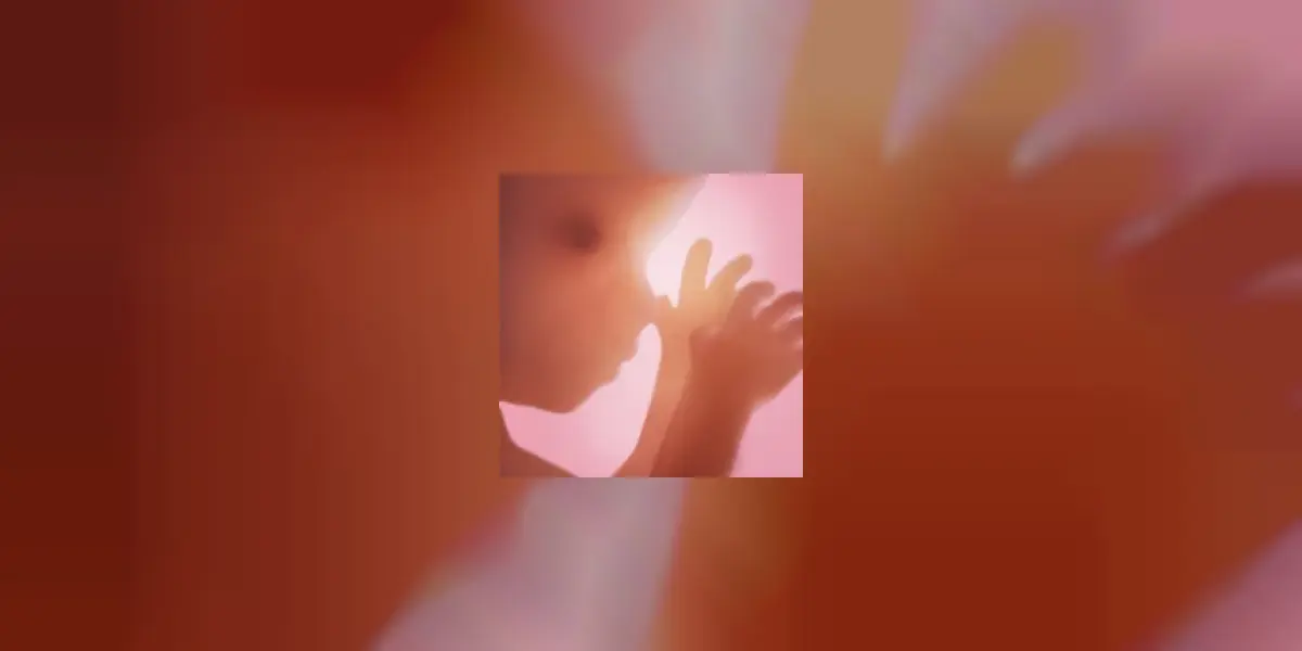 Sarcina + | App de urmărire